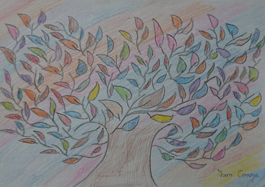 Projekt/akcija kreatIVAN!