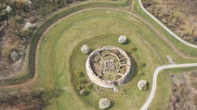 Forest, a friendly companion