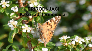 Prirodnjaci- termometar