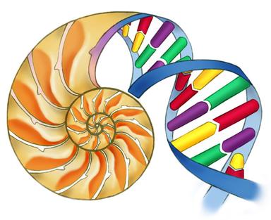 Nastavni listić za uvježbavanje pretrage weba