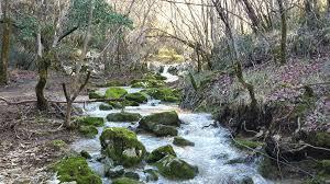 ODABERIMO NAČIN IZRADE PAPIRA KAKO BI NAM BUDUĆNOST BILA BOGATIJA 