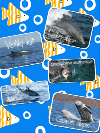 Fizikalno-kemijska svojstva mora