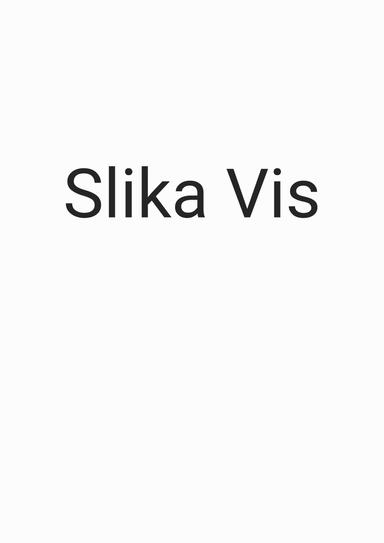 Slika Vis