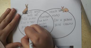 Živi svijet-Zec i kunić