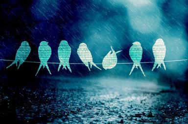 Tradicijska glazba: Međimurje i Podravina