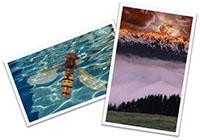 Scenarij poučavanja Mask - No problem!