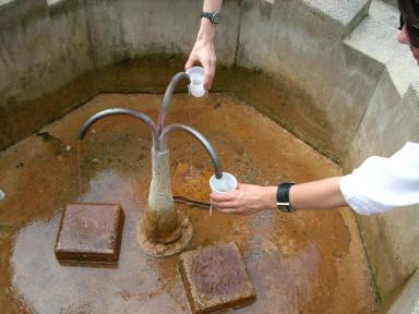 Kulturna i prirodna baština Daruvara - terenska nastava