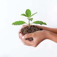 INTERAKTIVNI SADRŽAJ ZA MEĐUPREDMETENE TEME - Deforestacija