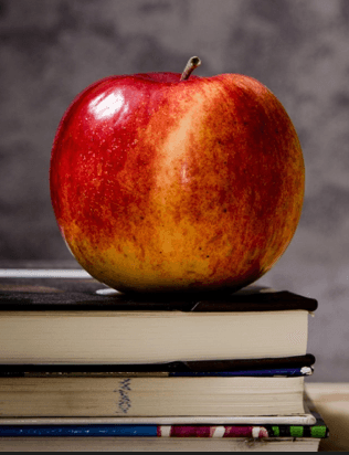 Roba - osnovni pojmovi