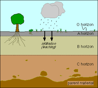 Vrijednost i geografska rasprostranjenost tala - radni listić