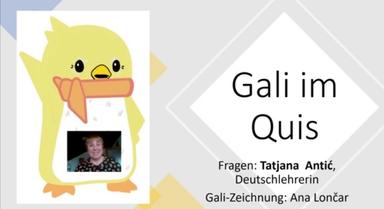 Gali im Quis