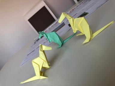 Poster o kretanju životinja