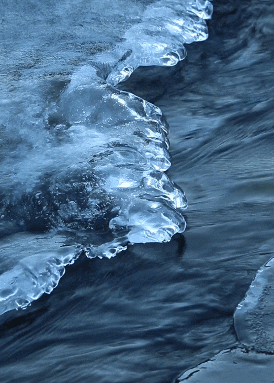 Vesna Parun: Kišna kap