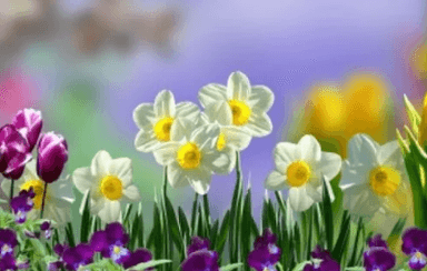 Proljeće u zavičaju