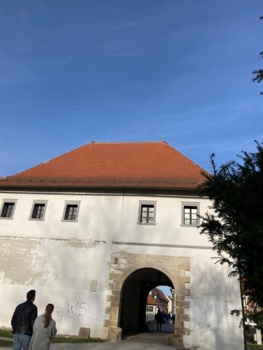 Reprezentativna umjetnička djela grada Varaždina i njihovi autori doprinose razvoju društva