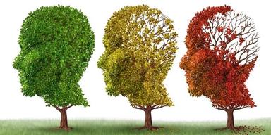 SCENARIJ POUČAVANJA-ALZHEIMEROVA BOLEST