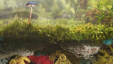 Scenarij poučavanja: Bio dizajn