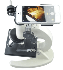 Uzgoji papučice i mikroskopiraj pomoću pametnog telefona