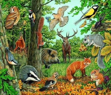 Životinje u šumi, interaktivna slika