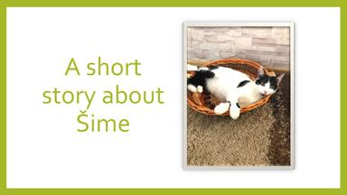 A Short Story about Šime - how to write a short composition about an animal or a  person