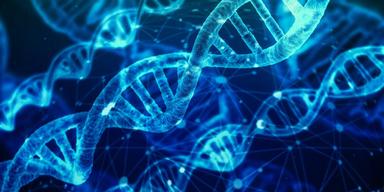 Deoksiribonukleinska kiselina