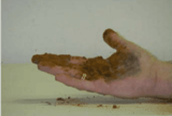 Vježbe iz Tloznanstva