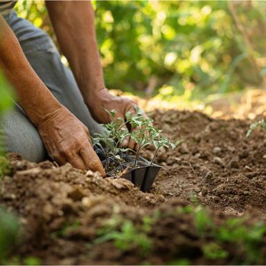 Rad na siguran način