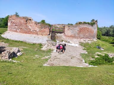 Raznolikost i opstanka živih vrsta