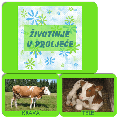 Životinje u proljeće