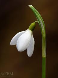 Mrvica, Željka Horvat Vukelja